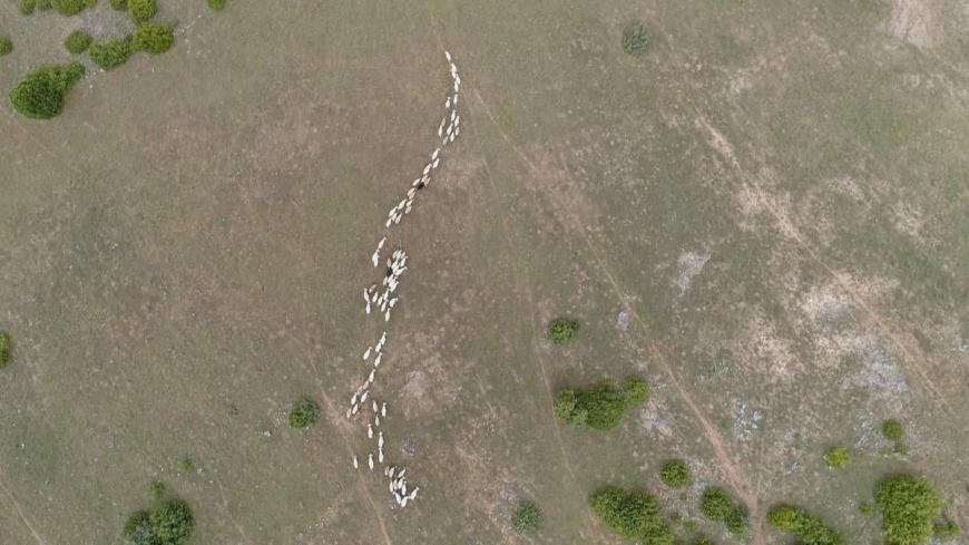 DOCUMENTAIRE : "Larzac : les champs du possible"