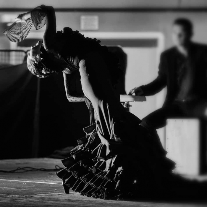 Stage et spectacle de flamenco à Arvieu le 11 février 2023. Stage et spectacle de flamenco à Arvieu le 11 février 2023.