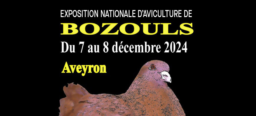 Expositon avicole de Bozouls Expositon avicole de Bozouls