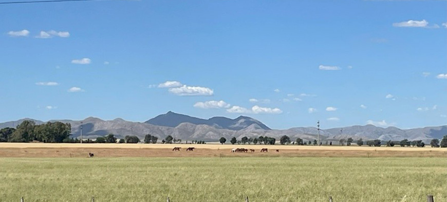 Pigüe : une terre aveyronnaise en argentine