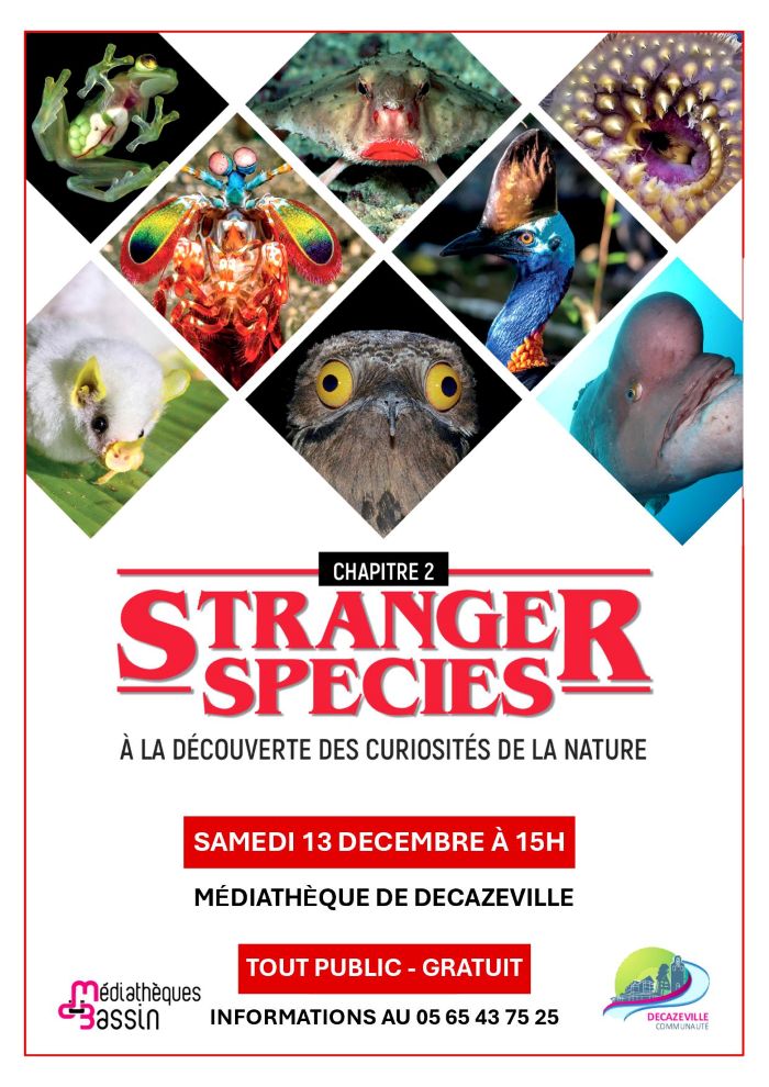 chapitre 2 - stranger species à la découverte des curiosités de la nature - samedi 13 décembre 15h00 - médiatheque decazeville - tout public - gratuit - infos 05 65 43 75 25