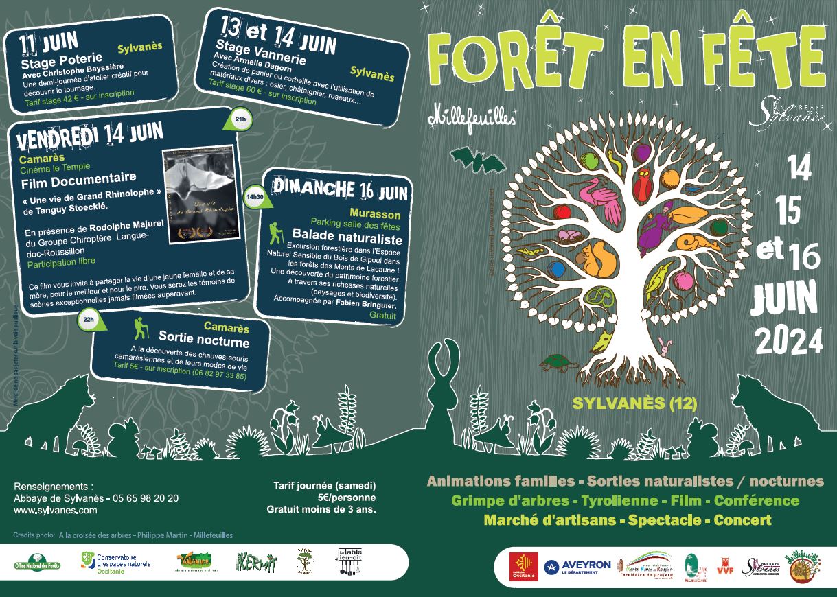Foret en fete