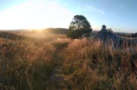 Le jour se lève sur l'Aubrac ©Q.Belmondo