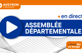 Suivez en direct l'assemblée départementale du vendredi 20 octobre 2023
