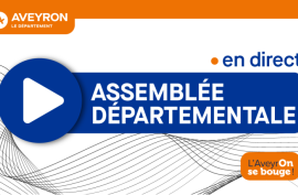 Suivez en direct l'assemblée départementale du vendredi 15 décembre 2023.