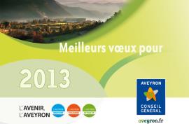 Meilleurs voeux 2013