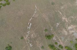 DOCUMENTAIRE : "Larzac : les champs du possible"