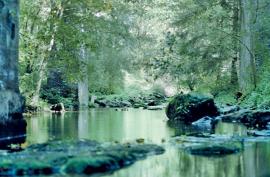 Sécurité alimentaire et en alimentation en eau