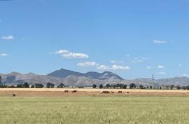 Pigüe : une terre aveyronnaise en argentine
