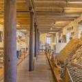 Musée de Salles-la-Source