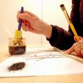 Atelier brou de noix